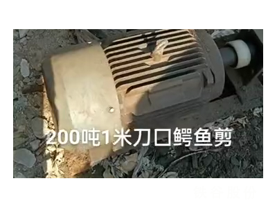 200噸1米刀囗鱷魚剪，1萬多塊錢圖3