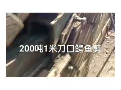 200噸1米刀囗鱷魚剪，1萬多塊錢圖2