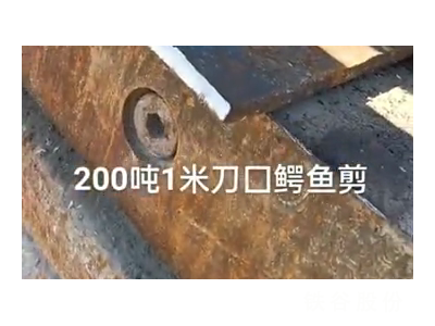 200噸1米刀囗鱷魚剪，1萬多塊錢圖5