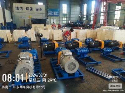 羅茨風(fēng)機(jī)做的比較久的廠家圖2